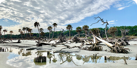 Hunting Island State Park