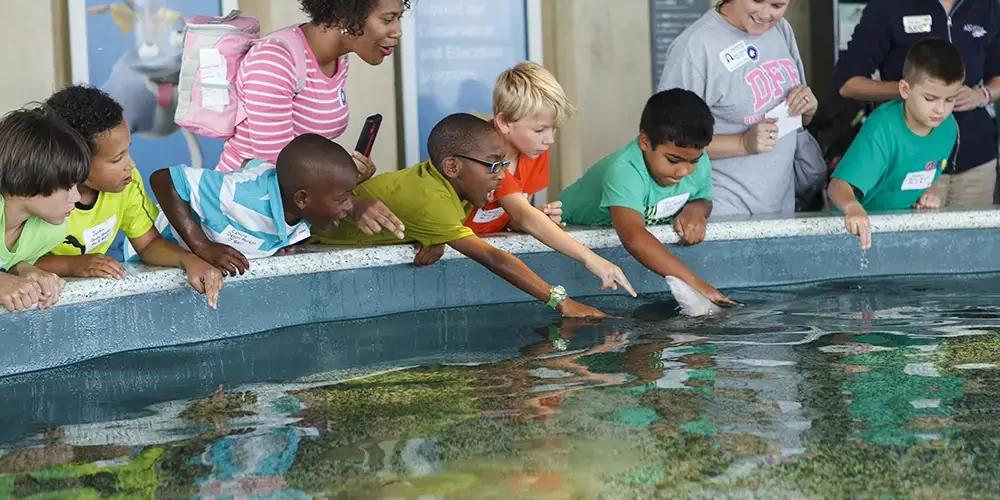 South Carolina Aquarium