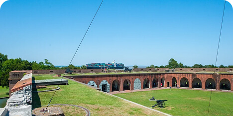 savannah